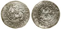 Polska, półgrosz, 1527