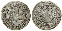 Polska, półgrosz, 1511
