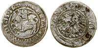 Polska, półgrosz, 1519