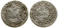 Polska, półgrosz, 1519