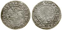 Polska, półgrosz, 1521