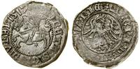 Polska, półgrosz, 1517