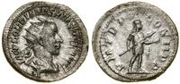 Cesarstwo Rzymskie, antoninian, (241–243)