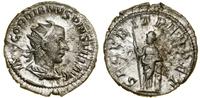 Cesarstwo Rzymskie, antoninian, (243–244)