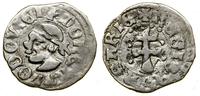 Polska, denar, (1358–1366)