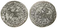 Polska, półgrosz, 1561