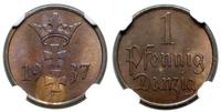 Polska, 1 fenig, 1937