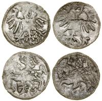 Polska, zestaw: 2 x denar, 1556
