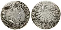 Polska, grosz, 1534