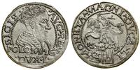 Polska, grosz na stopę polską, 1566