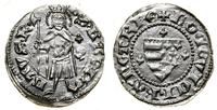 Węgry, denar, (1366–1379)