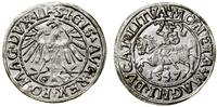 Polska, półgrosz, 1547