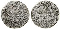Polska, półgrosz, 1548