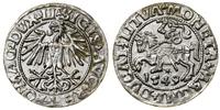 Polska, półgrosz, 1549
