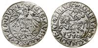 Polska, półgrosz, 1550