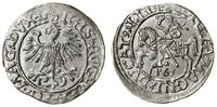 Polska, półgrosz, 1561