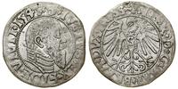 Prusy Książęce (1525–1657), grosz, 1545