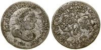 Polska, szóstak, 1684 TLB