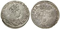 Polska, szóstak, 1679 TLB