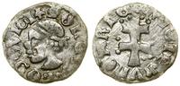 Polska, denar, 1358–1366