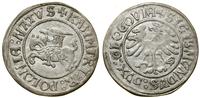 Polska, biały grosz, bez daty (1505)