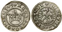 Polska, półgrosz, 1509