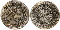 Polska, półgrosz, 1517