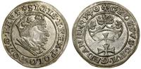 Polska, grosz, 1540