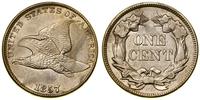 Stany Zjednoczone Ameryki (USA), 1 cent, 1857
