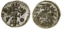 Polska, denar, 1550