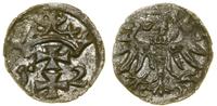 Polska, denar, 1552