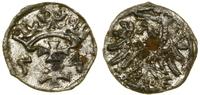 Polska, denar, 1554