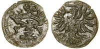Polska, denar, 1555