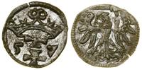 Polska, denar, 1557