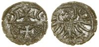 Polska, denar, 1555