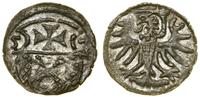 Polska, denar, 1557