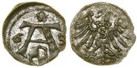 Prusy Książęce (1525–1657), denar, 1563