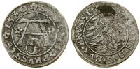 Prusy Książęce (1525–1657), szeląg, 1530