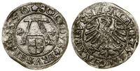 Prusy Książęce (1525–1657), szeląg, 1550