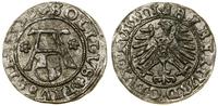 Prusy Książęce (1525–1657), szeląg, 1557