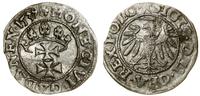 Polska, szeląg, 1539