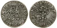 Polska, szeląg, 1546
