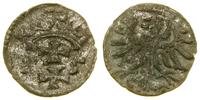 Polska, denar, 1555