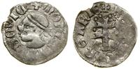 Polska, denar, (ok. 1358–1366)