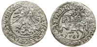 Polska, półgrosz, 1561