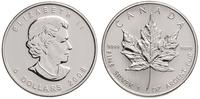 5 dolarow 2008, srebro 31.26 g, '999', moneta w 