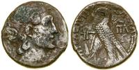 Grecja i posthellenistyczne, tetradrachma, (104 pne) - 13 rok panowania Kleopatry /