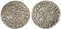 Polska, półgrosz, 1549