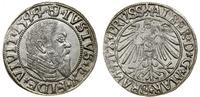 Prusy Książęce (1525–1657), grosz, 1544