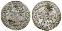 Polska, półgrosz, 1562